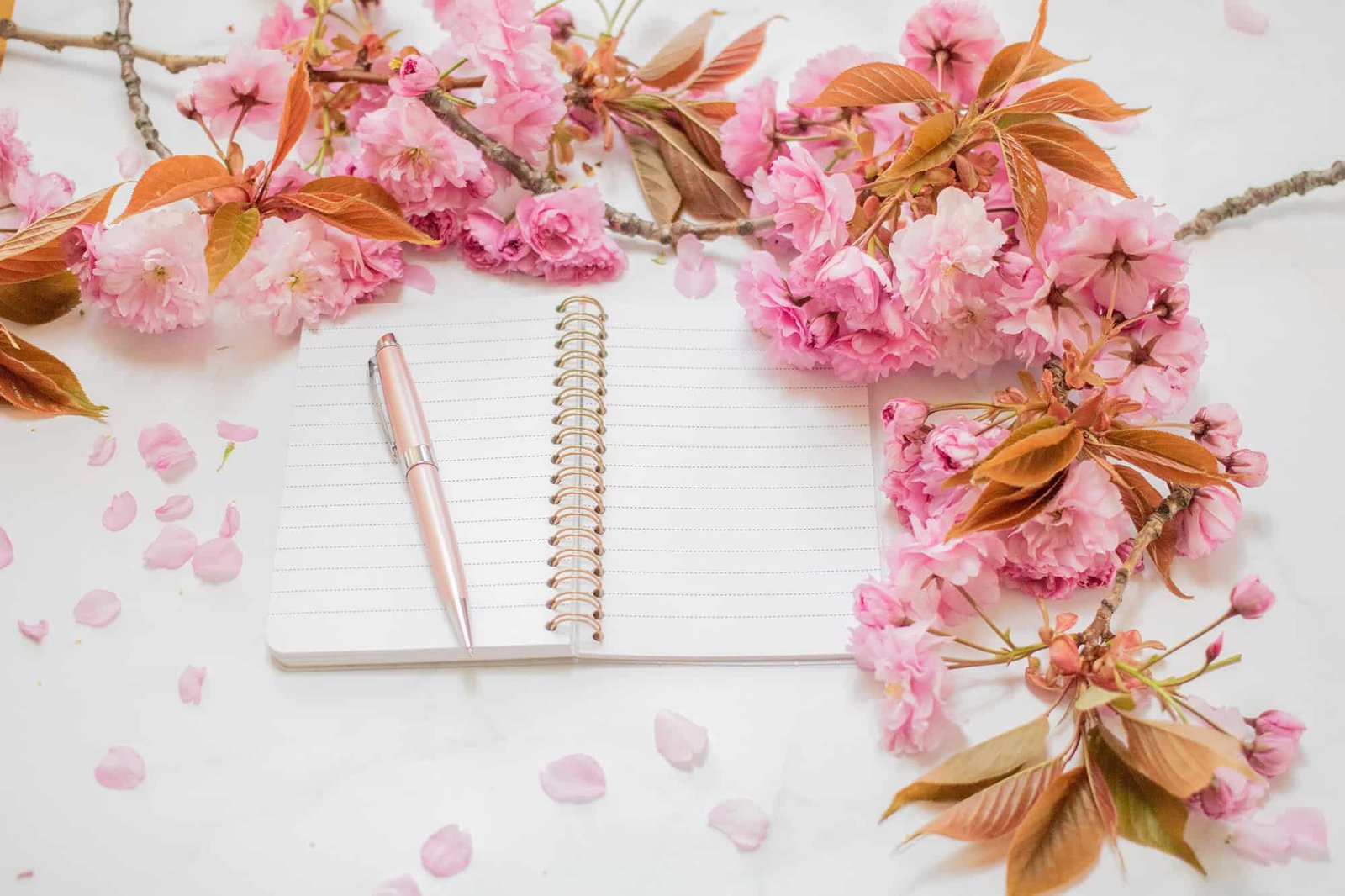 Everyday Self-Care Habits That Can Transform Your Well-Being